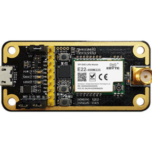 Ebyte OEM/ODM E22-400MBL-01 hot new product USB interface lora development board evaluation kit